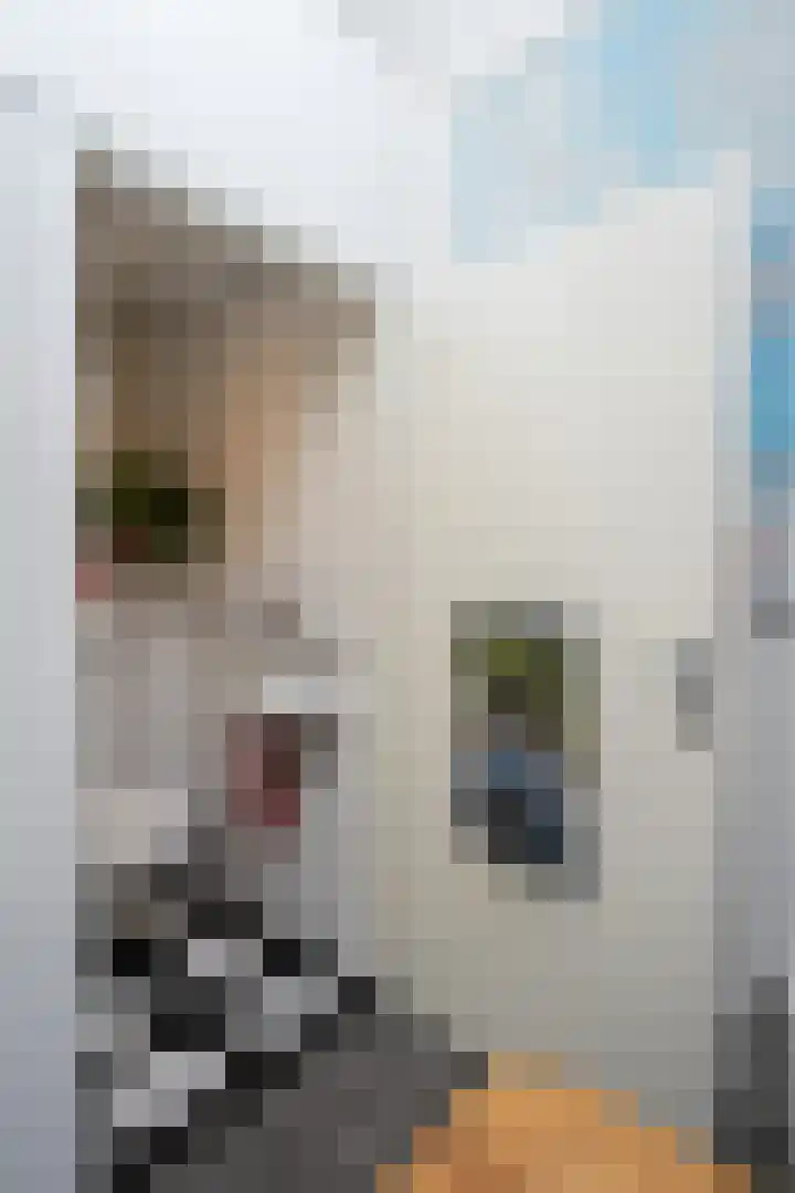Noordwester 17 Den Burg thumbnail 20