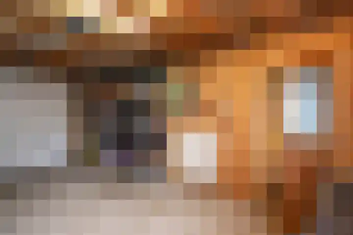 Noordwester 17 Den Burg thumbnail 26