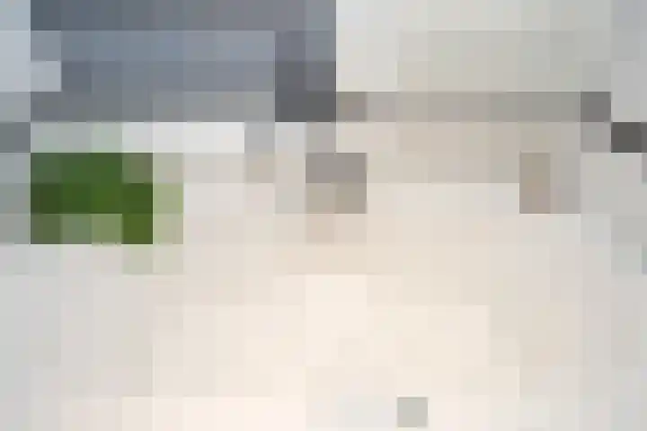 Noordwester 17 Den Burg thumbnail 33