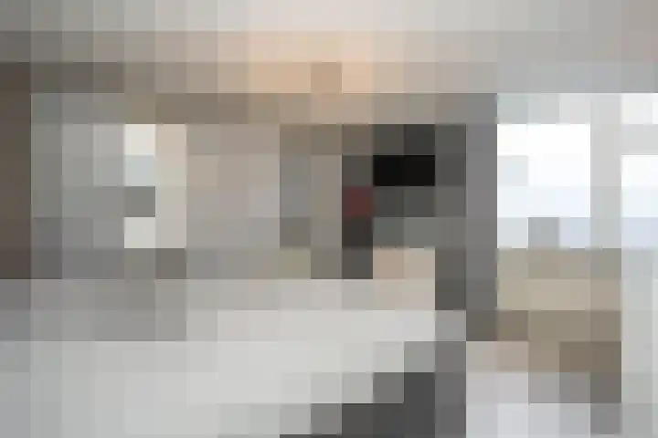 Noordwester 17 Den Burg thumbnail 36