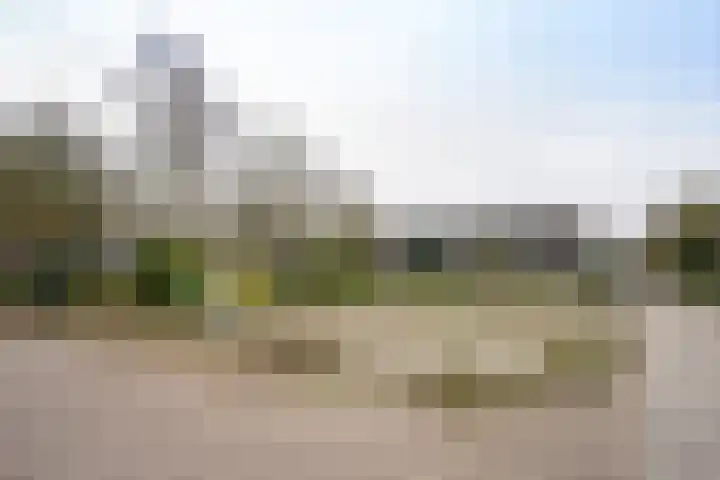 Noordwester 17 Den Burg thumbnail 57
