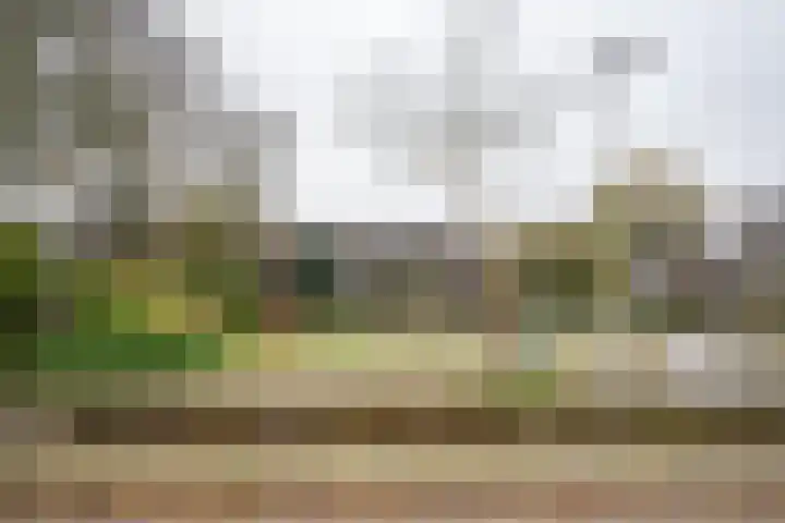 Noordwester 17 Den Burg thumbnail 58