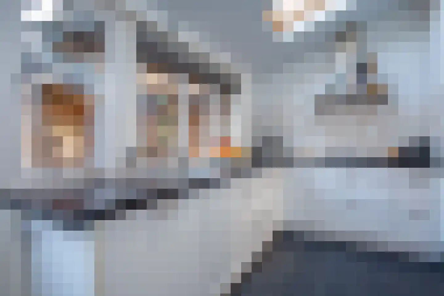 Noordwester 70 Den Burg thumbnail 9