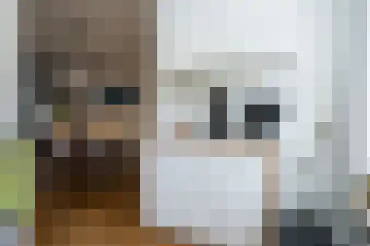 Noordwester 88 Den Burg thumbnail 21