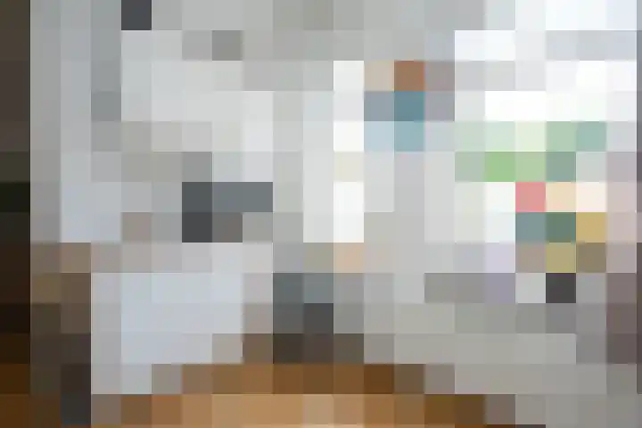 Noordwester 88 Den Burg thumbnail 22