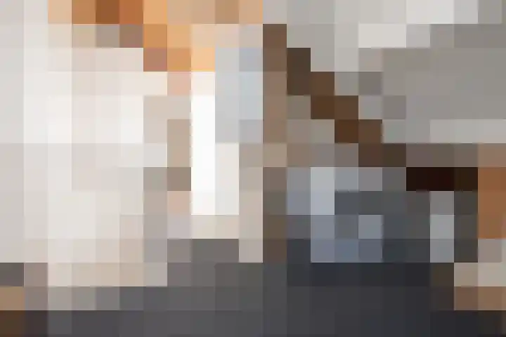 Noordwester 88 Den Burg thumbnail 45
