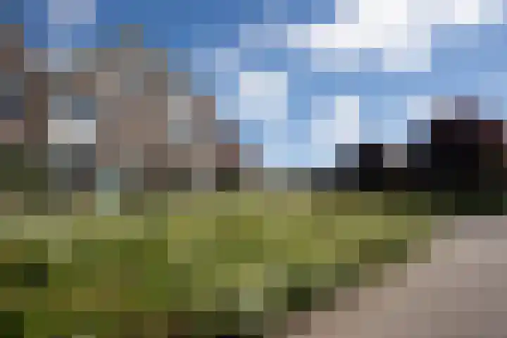 Noordwester 88 Den Burg thumbnail 62