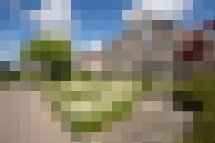 Noordwester 88 Den Burg thumbnail 63