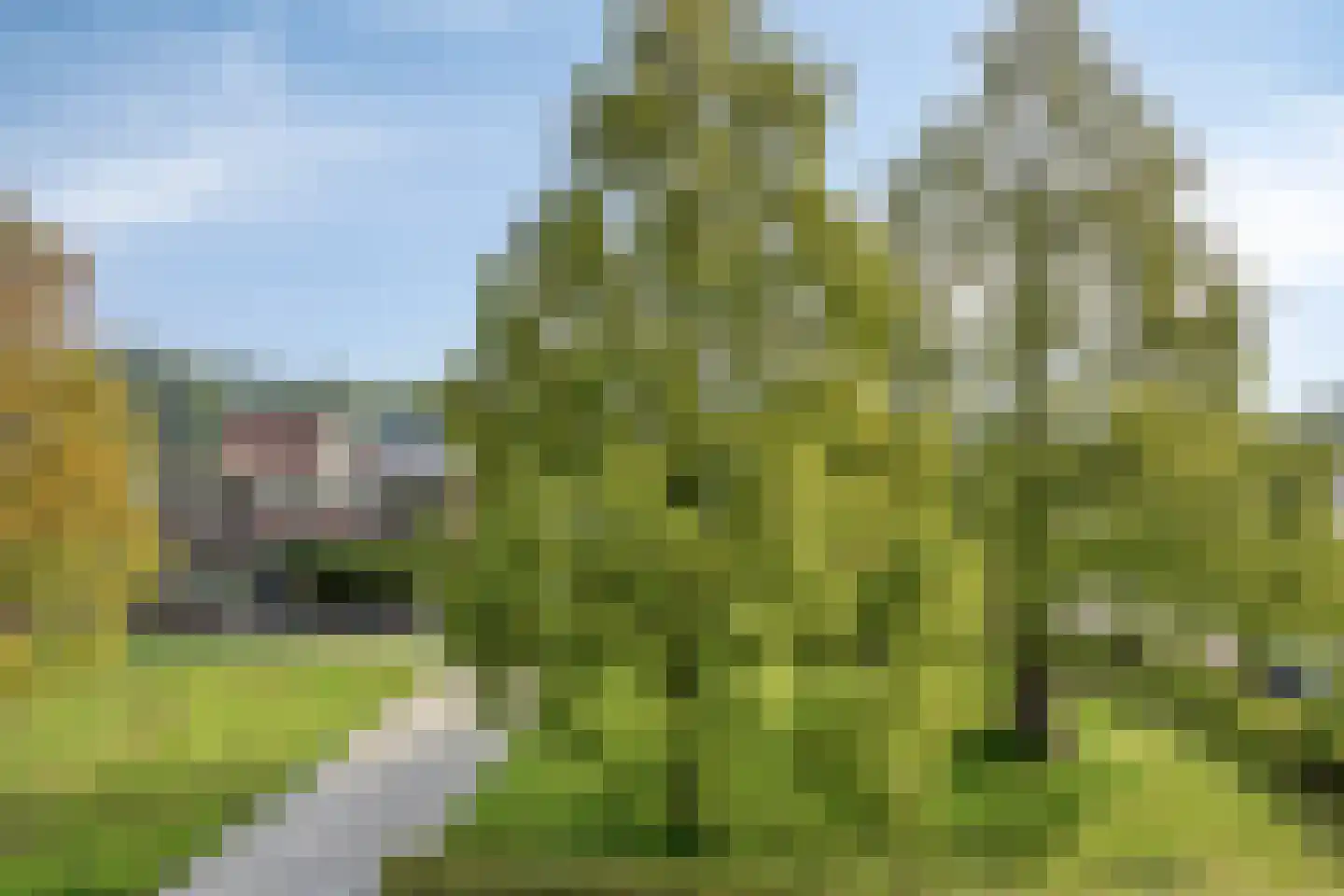 Noordwiek 11 Etten-Leur thumbnail 31