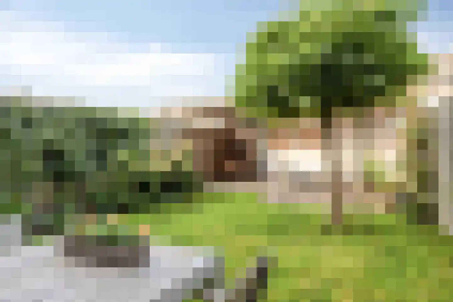 Noordwiek 11 Etten-Leur thumbnail 37