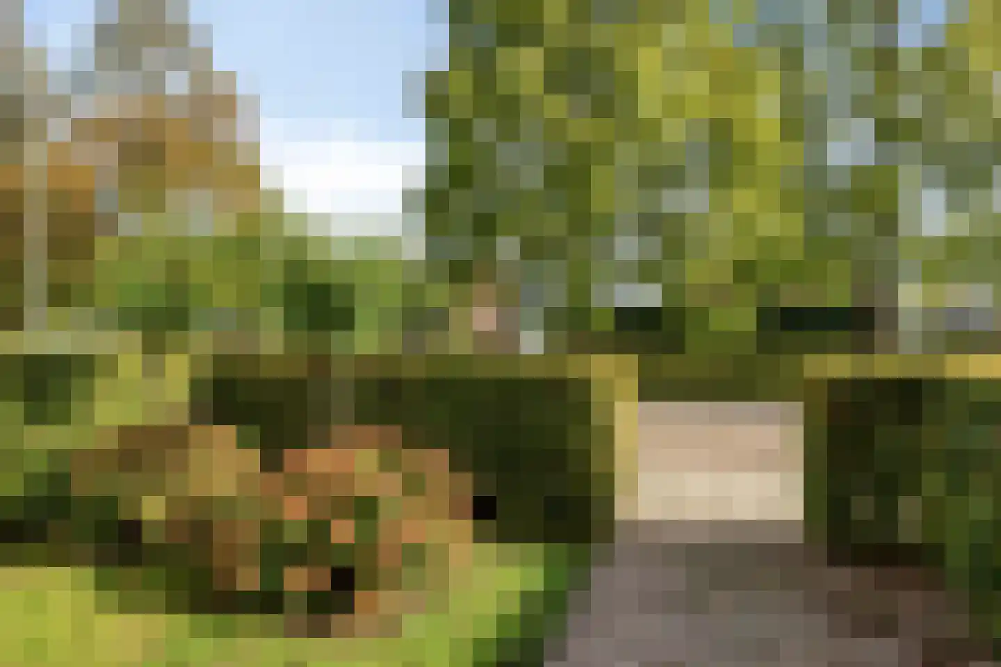 Noordwiek 11 Etten-Leur thumbnail 7