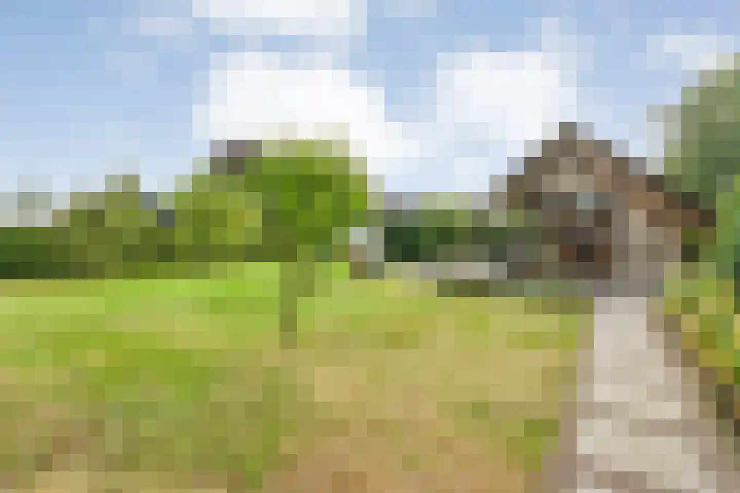 Noordwijk 33 Dalen thumbnail 71