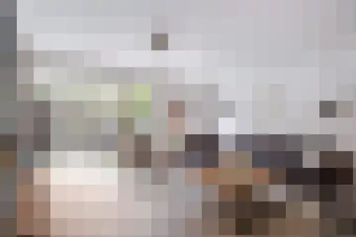 Noordwijkerschans 25 Nieuwegein thumbnail 13