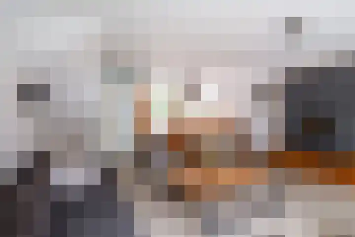 Noordwijkerschans 25 Nieuwegein thumbnail 14