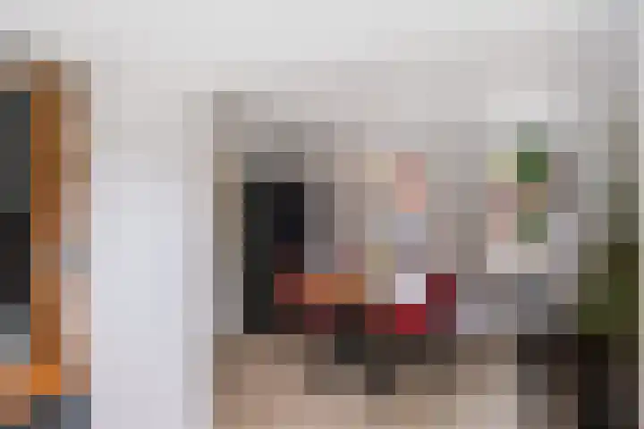 Noordwijkerschans 25 Nieuwegein thumbnail 22