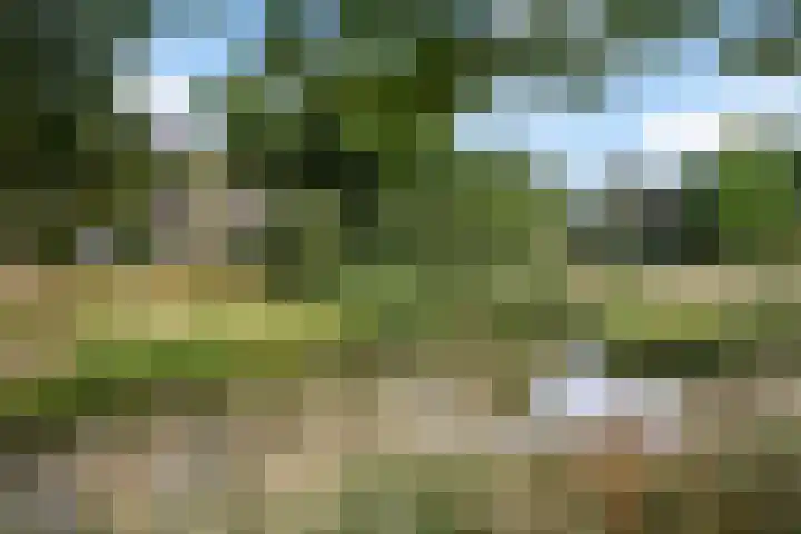 Noordwijkerschans 25 Nieuwegein thumbnail 53