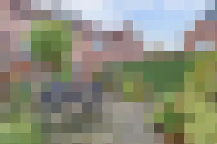 Noordwijkerschans 29 Nieuwegein thumbnail 12