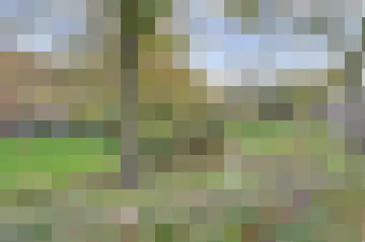 Noordwijkerschans 29 Nieuwegein thumbnail 36