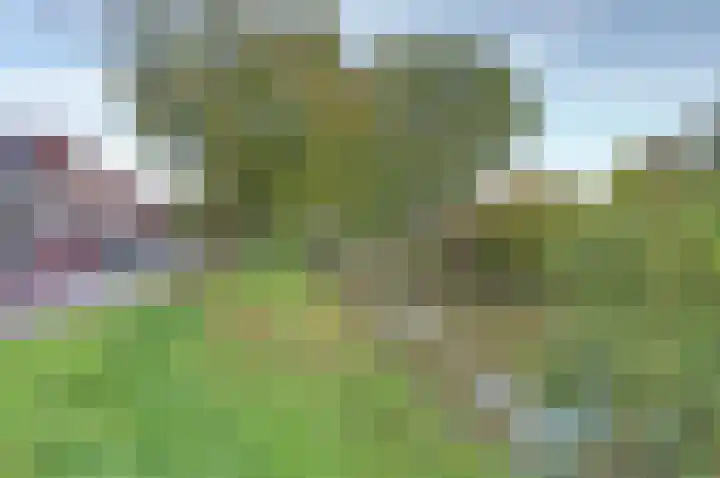 Noordwijkerschans 29 Nieuwegein thumbnail 37