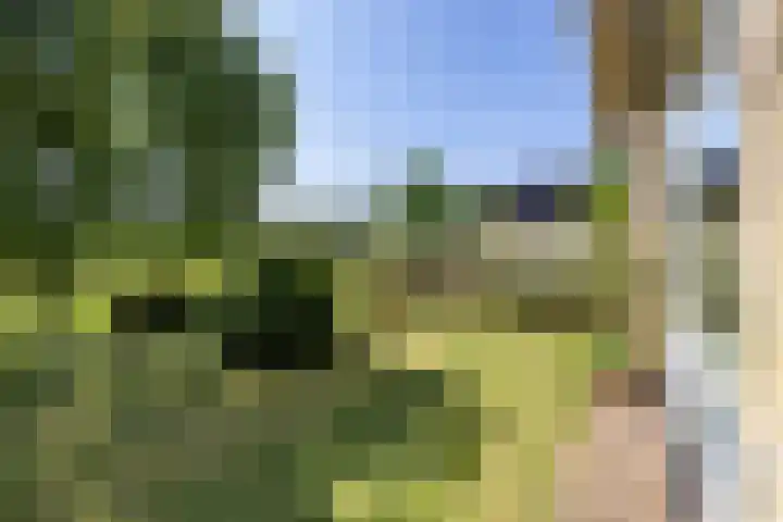 Noordwijkerweg 14 A Kornhorn thumbnail 51