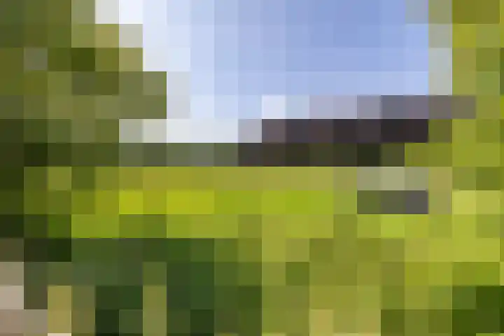 Noordwijkerweg 14 A Kornhorn thumbnail 52