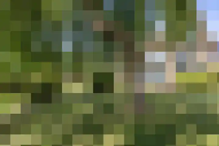 Noordwijkerweg 14 A Kornhorn thumbnail 7