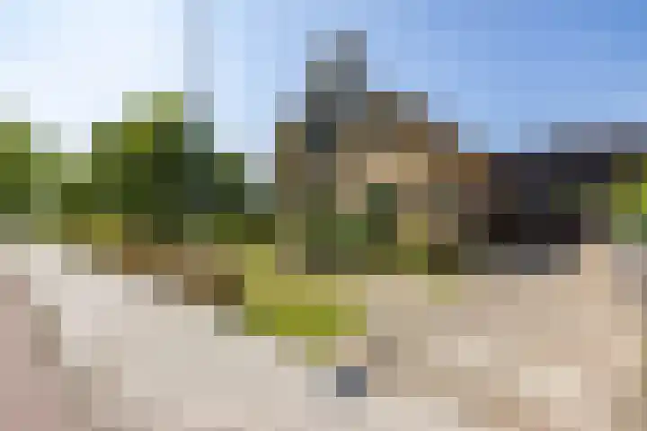 Noordwijkerweg 14 A Kornhorn thumbnail 9