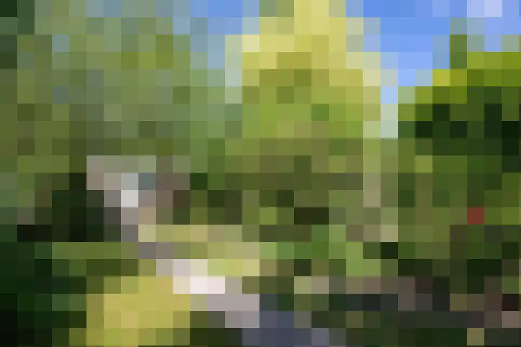 Noordwijkerweg 17 D Katwijk thumbnail 21