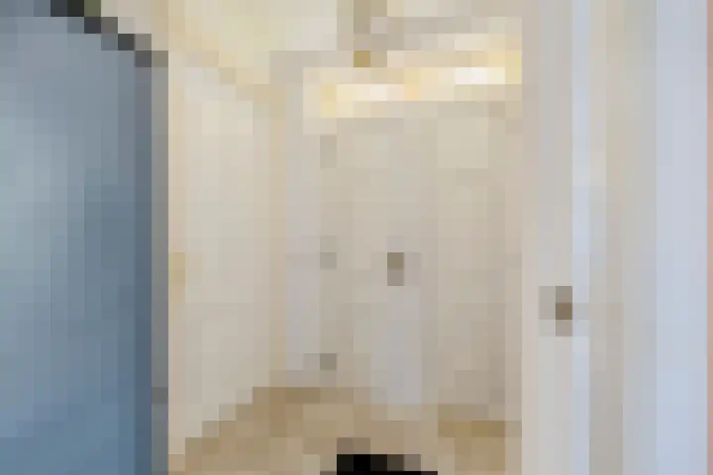 Noordwijkerweg 4 Koekange thumbnail 14