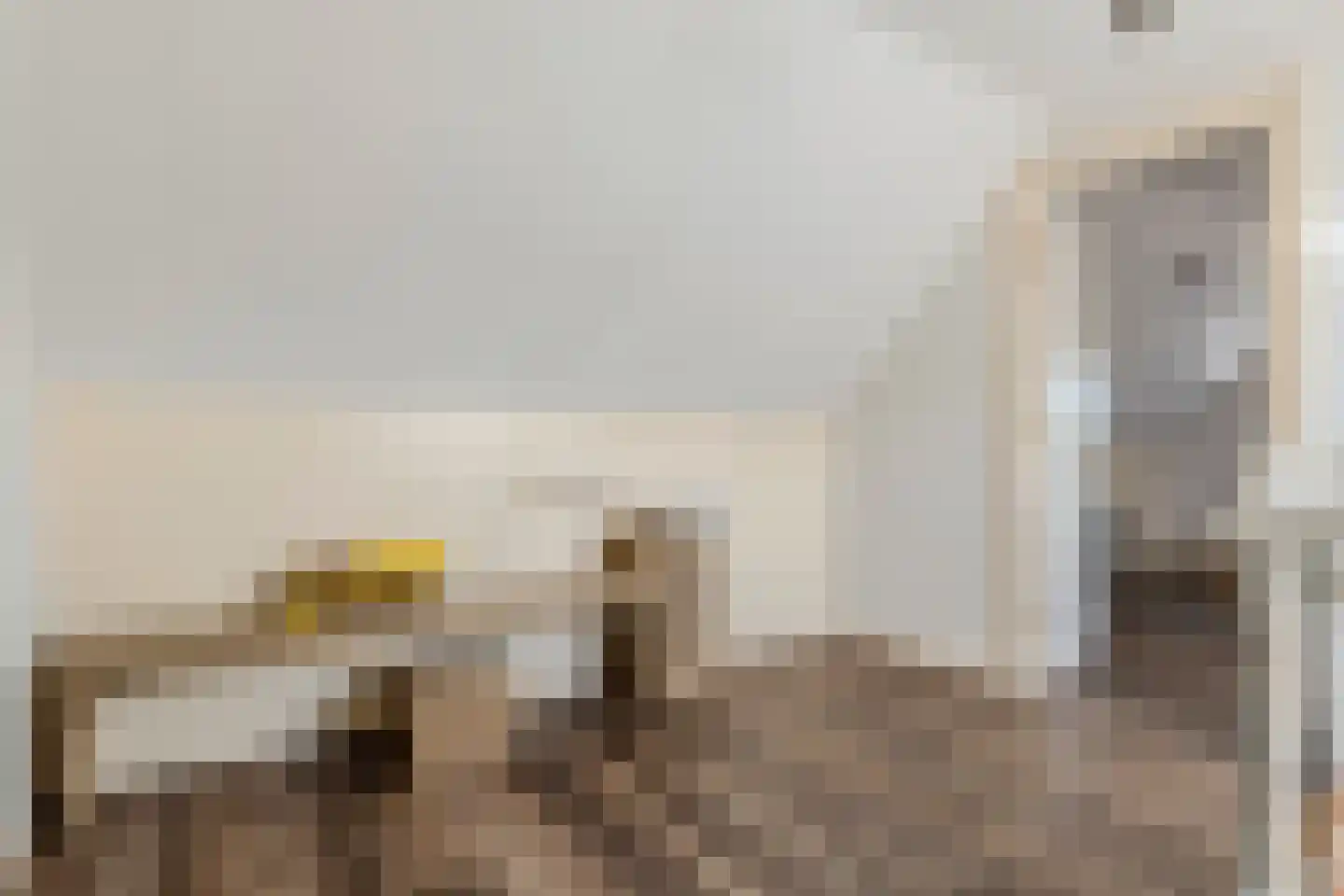 Noordwijkerweg 4 Koekange thumbnail 23