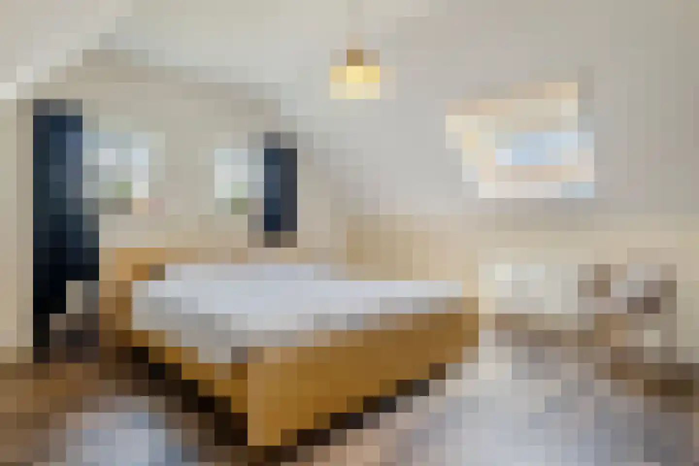 Noordwijkerweg 4 Koekange thumbnail 24