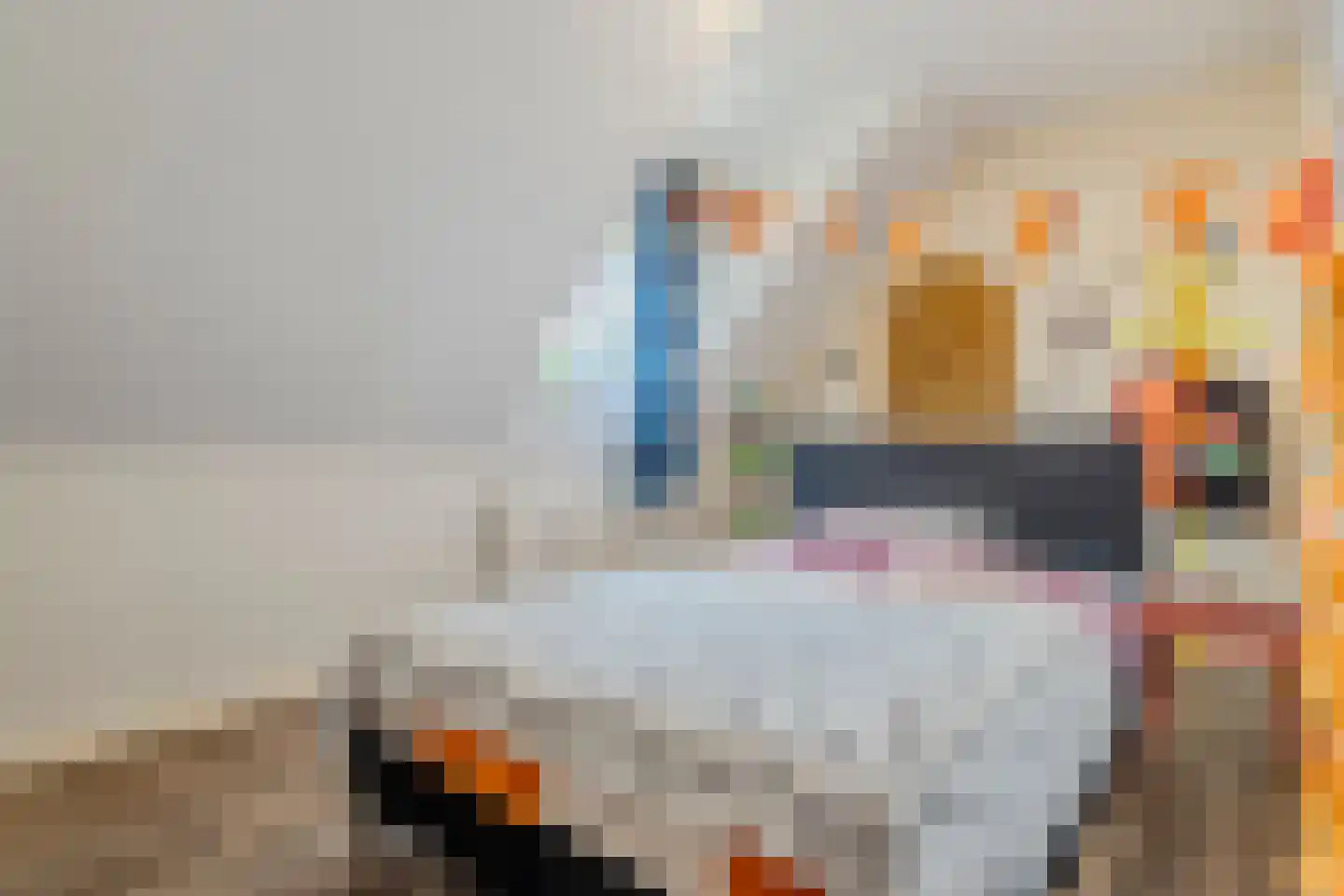 Noordwijkerweg 4 Koekange thumbnail 26