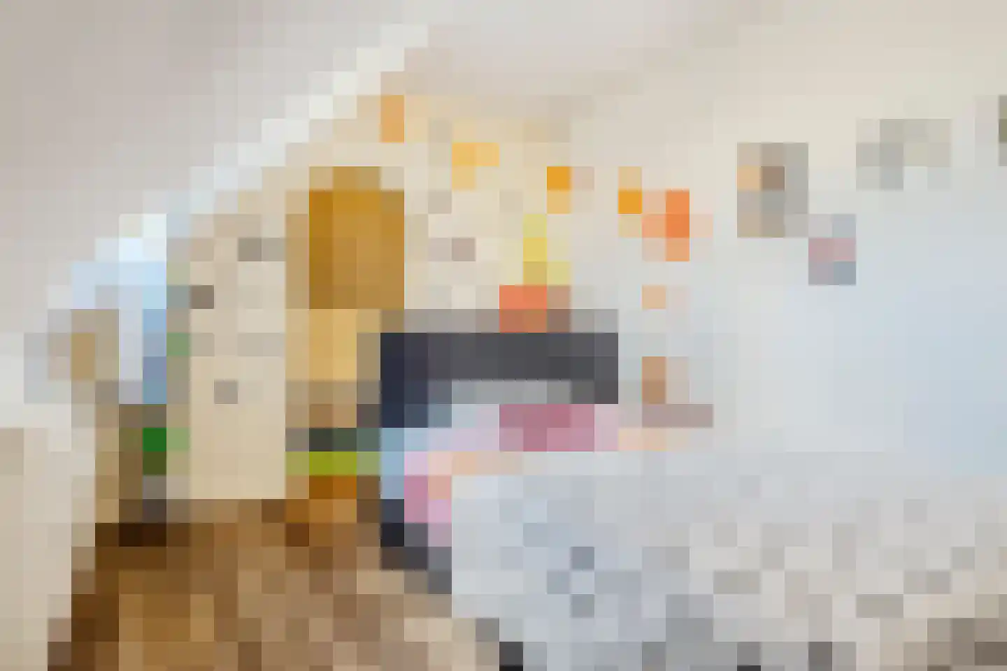 Noordwijkerweg 4 Koekange thumbnail 27