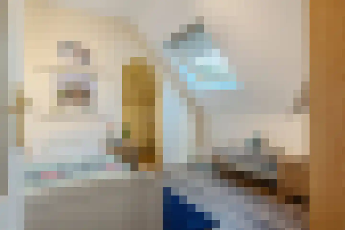 Noordwijkerweg 4 Koekange thumbnail 29