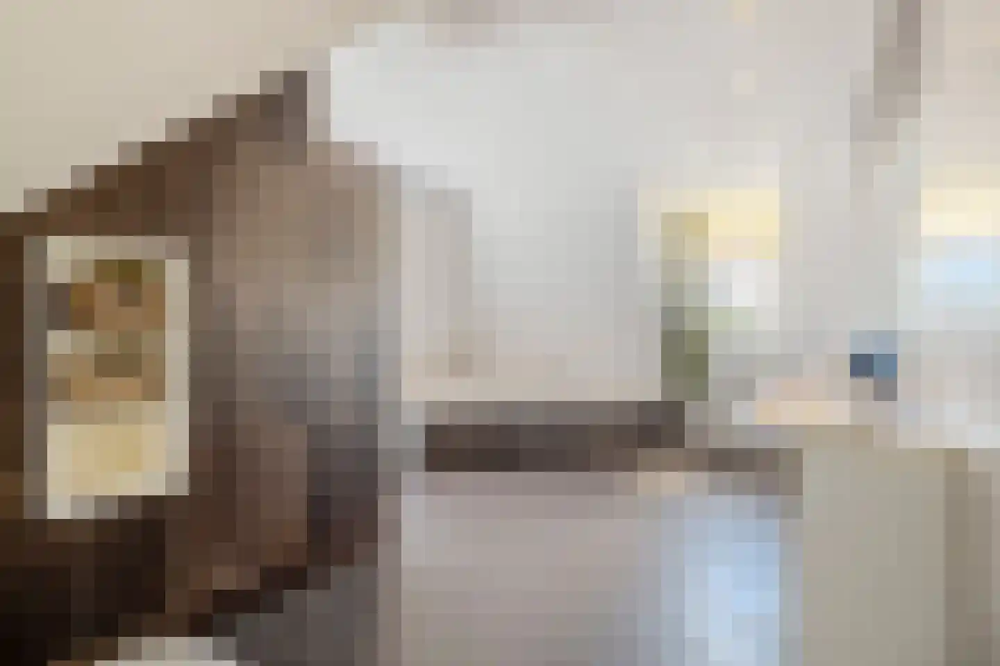 Noordwijkerweg 4 Koekange thumbnail 31