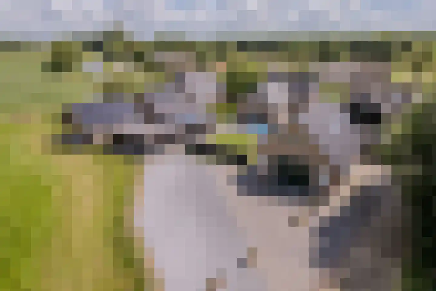 Noordwijkerweg 4 Koekange thumbnail 57