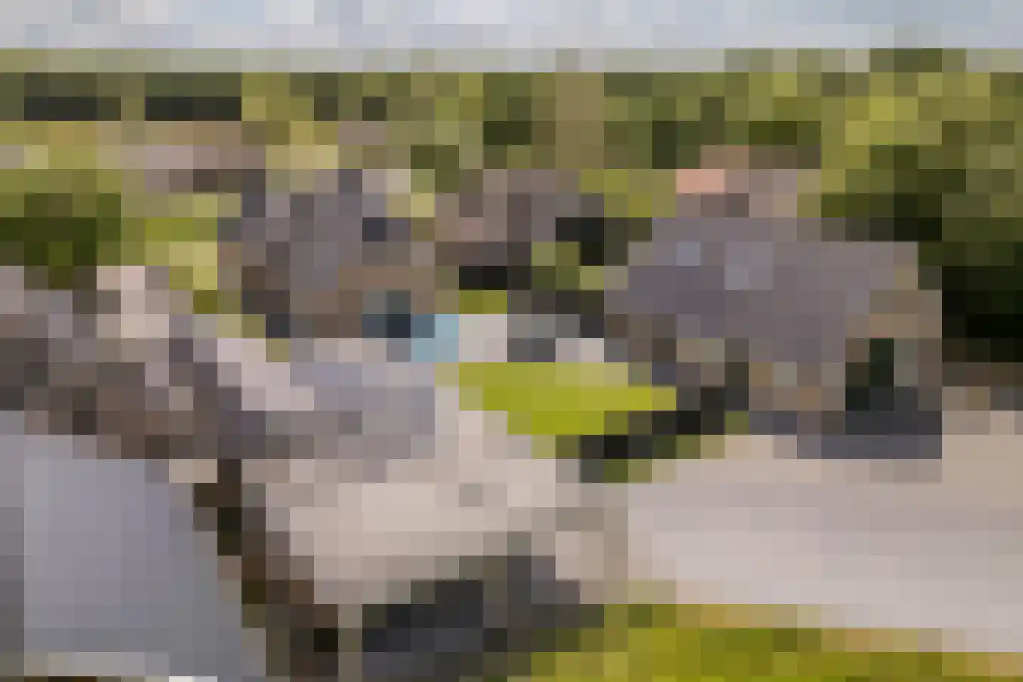 Noordwijkerweg 4 Koekange thumbnail 58