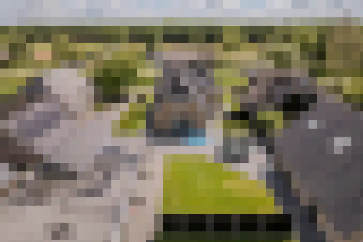 Noordwijkerweg 4 Koekange thumbnail 59