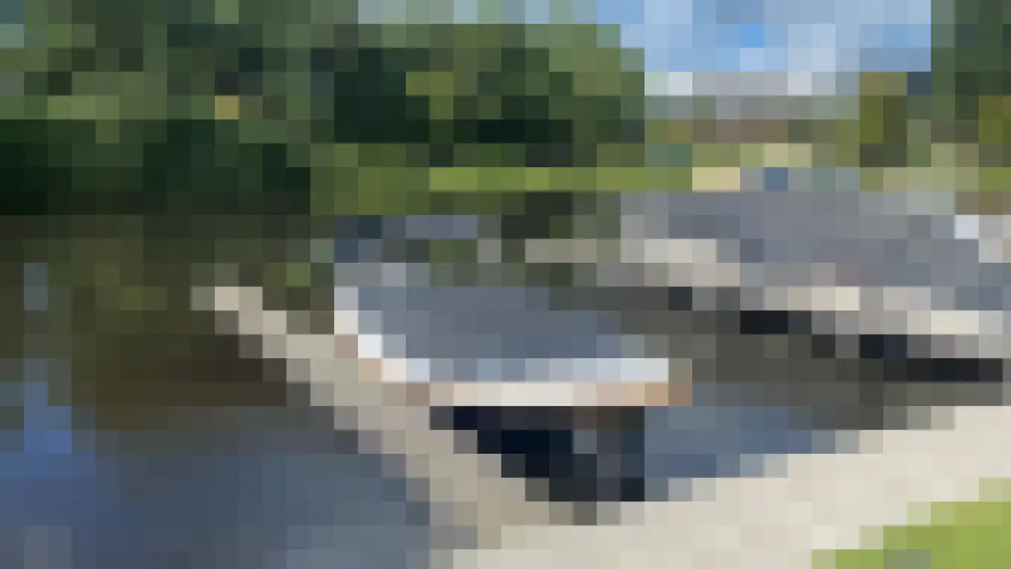 Noordwijkerweg 50 Rijnsburg thumbnail 6