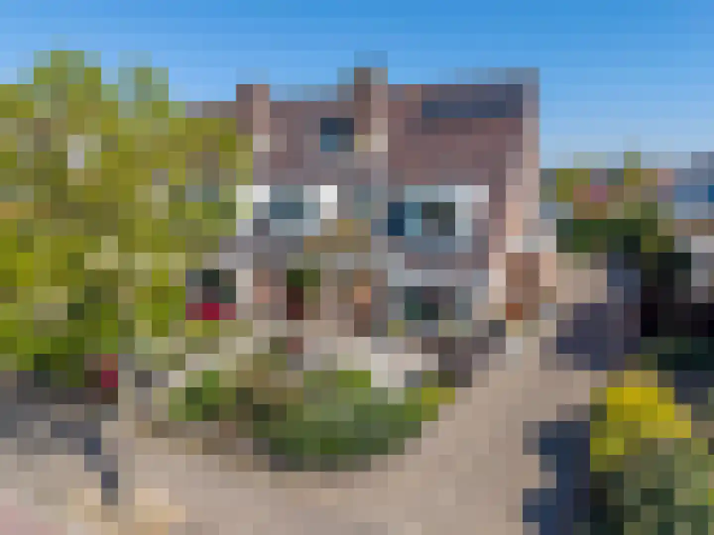 Noordwijkerweg 6 Rijnsburg