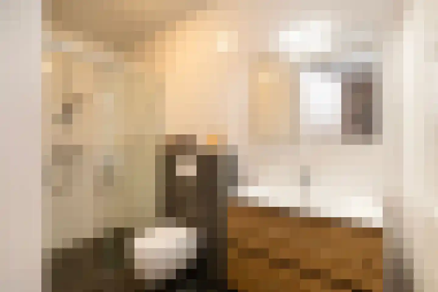 Noordwijkselaan 11 Dronten thumbnail 17