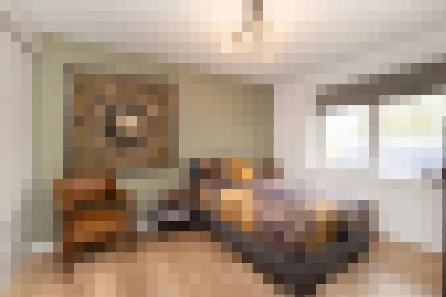 Noordwijkselaan 11 Dronten thumbnail 21