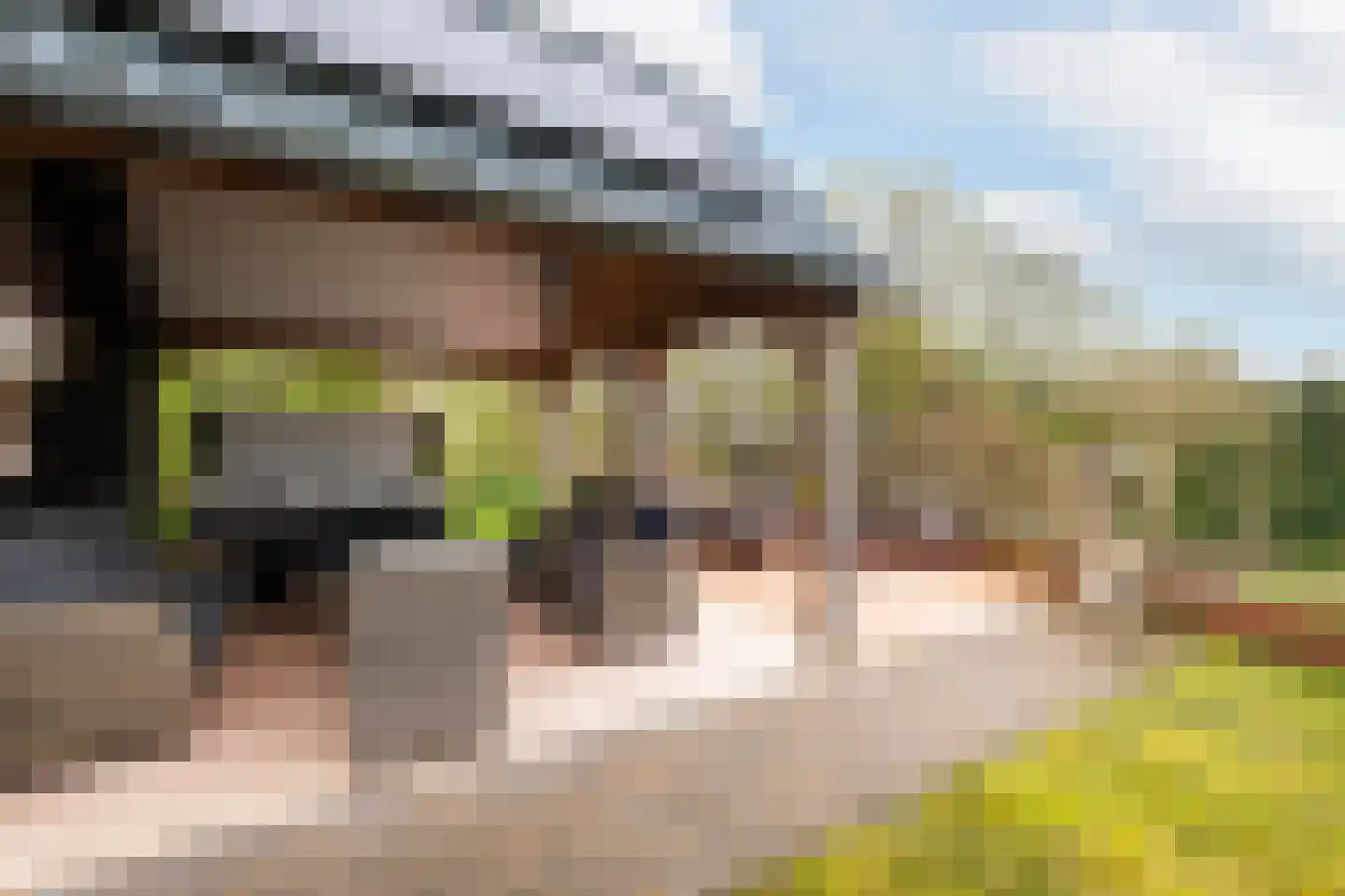 Noordwijkselaan 11 Dronten thumbnail 35
