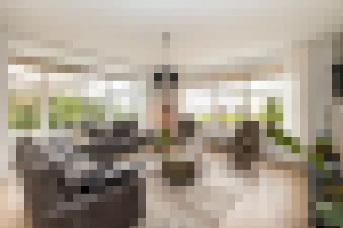 Noordwijkselaan 11 Dronten thumbnail 58