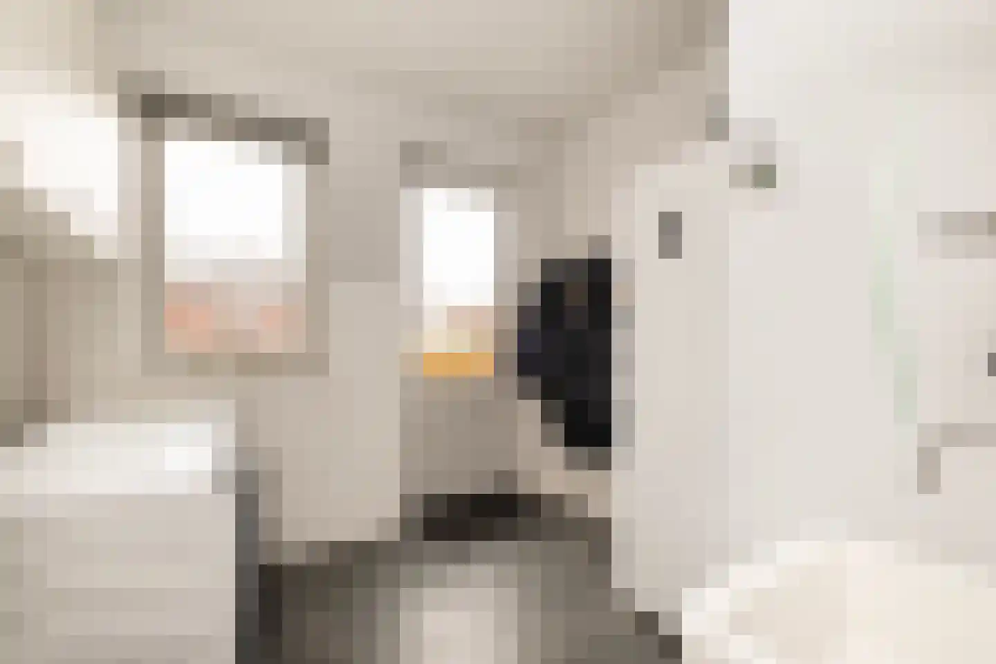 Noordwijkselaan 11 Dronten thumbnail 69