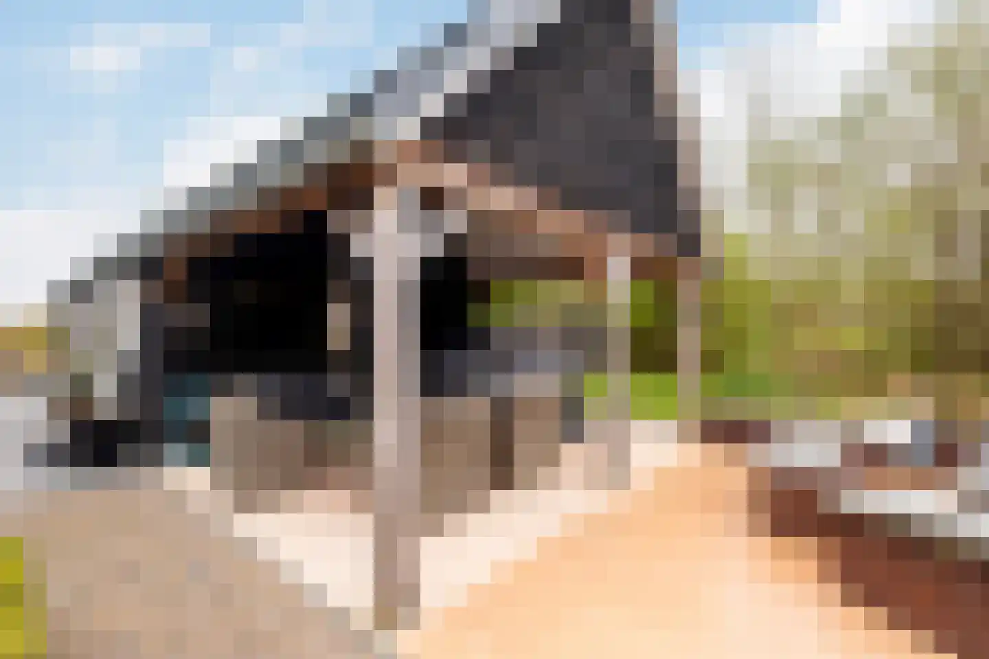 Noordwijkselaan 11 Dronten thumbnail 85
