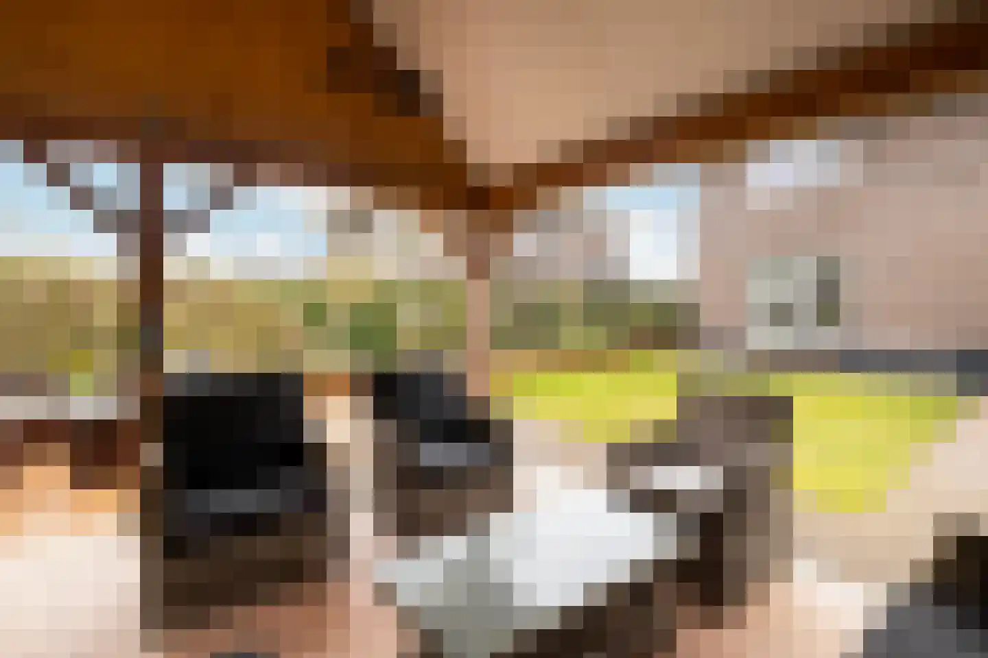 Noordwijkselaan 11 Dronten thumbnail 87