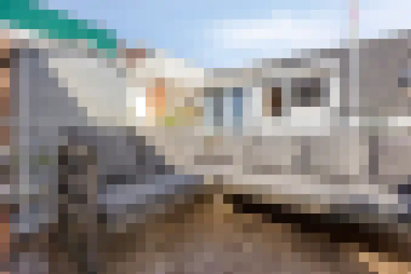 Noordwijkstraat 49 Den Haag thumbnail 17