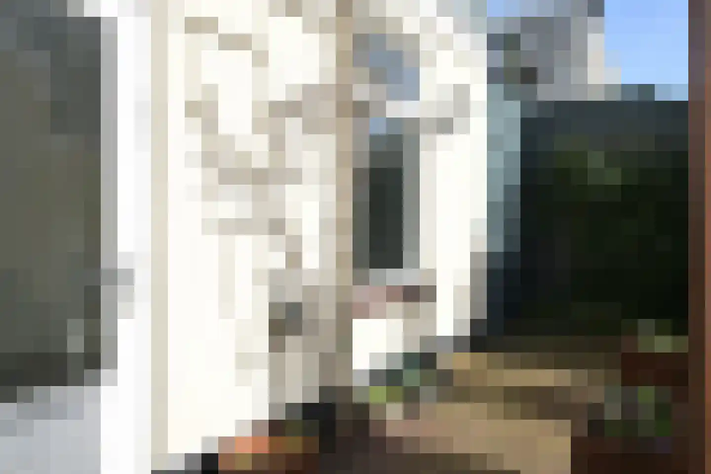 Noordwijkstraat 9 Den Haag thumbnail 15