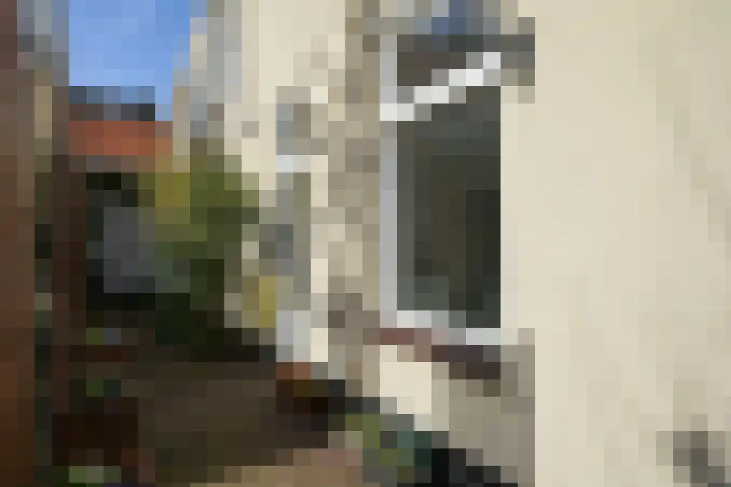 Noordwijkstraat 9 Den Haag thumbnail 16